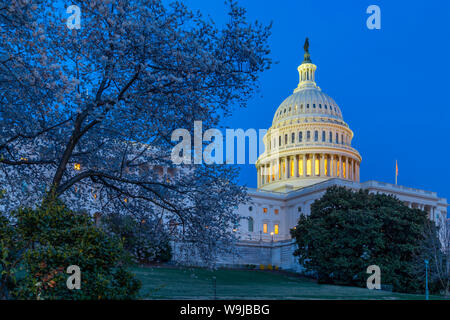 Ansicht des United States Capitol Gebäude in der Dämmerung, Washington D.C., Vereinigte Staaten von Amerika, Nordamerika Stockfoto