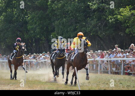 Pferderennbahn in Sault, Provence-Alpes-Côte d'Azur - Frankreich. 11. August 2019. Das einzige Pferd Rennen im Jahr Stockfoto