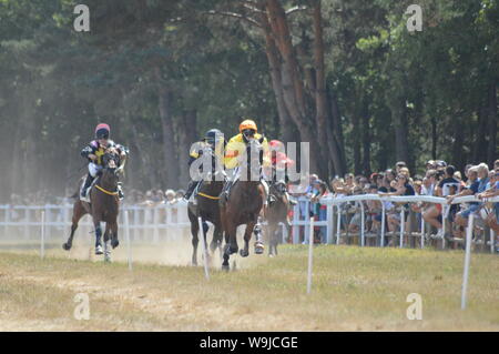 Pferderennbahn in Sault, Provence-Alpes-Côte d'Azur - Frankreich. 11. August 2019. Das einzige Pferd Rennen im Jahr Stockfoto