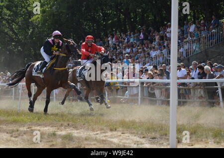 Pferderennbahn in Sault, Provence-Alpes-Côte d'Azur - Frankreich. 11. August 2019. Das einzige Pferd Rennen im Jahr Stockfoto