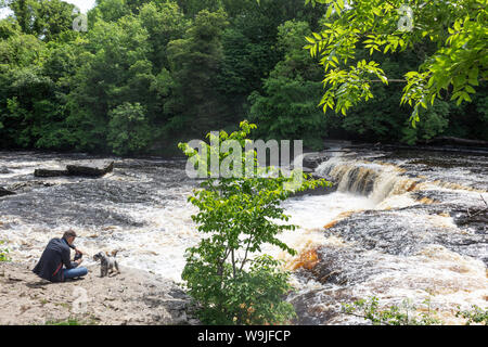 Aysgarth fällt, Fluß Ure, Yorkshire Dales, England. Berühmt für die im film Robin Hood empfohlene: Prinz der Diebe, Kevin Costner in der Hauptrolle. Stockfoto
