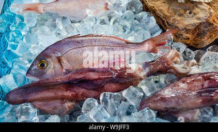 Frischfisch auf Eis Stockfoto