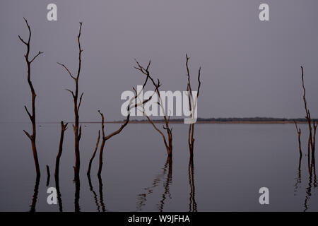 Sonnenuntergang am Lake Kariba, Simbabwe Toten Baumstümpfen im Vordergrund. Stockfoto
