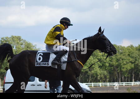 Pferderennbahn in Sault, Provence-Alpes-Côte d'Azur - Frankreich. 11. August 2019. Das einzige Pferd Rennen im Jahr Stockfoto