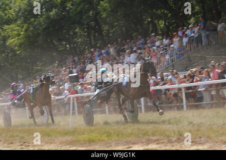 Pferderennbahn in Sault, Provence-Alpes-Côte d'Azur - Frankreich. 11. August 2019. Das einzige Pferd Rennen im Jahr Stockfoto