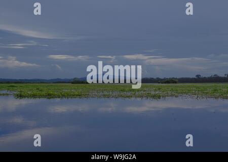 KAW Marsh, Marais de Kaw Stockfoto