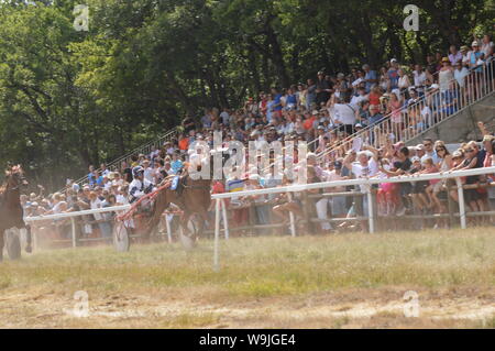Pferderennbahn in Sault, Provence-Alpes-Côte d'Azur - Frankreich. 11. August 2019. Das einzige Pferd Rennen im Jahr Stockfoto