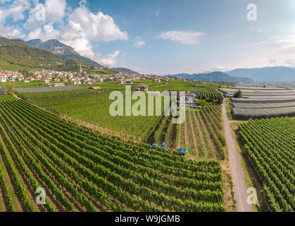 Blick auf das Dorf und seine Weinberge, Tramin an der Weinstraße - Tramin sulla Strada del Vino,, Südtirol - Alto Adige, Italien, 30071333 *** Lokale C Stockfoto