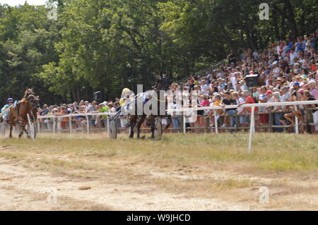 Pferderennbahn in Sault, Provence-Alpes-Côte d'Azur - Frankreich. 11. August 2019. Das einzige Pferd Rennen im Jahr Stockfoto