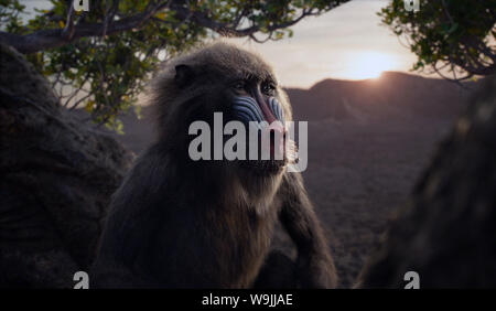 Der König der Löwen ist ein 2019 American Computer-animierte musikalische Film unter der Regie von Jon Favreau, geschrieben von Jeff Nathanson produziert, und von Walt Disney Pictures produziert. Dieses Foto ist nur für den redaktionellen Gebrauch bestimmt und unterliegen dem Copyright der Film Company und/oder der bezeichneten Fotograf durch den Film oder die Produktion Firma zugewiesen. Stockfoto