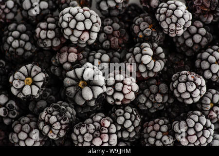 Bündel von köstlichen Gefrorene Brombeeren Nahaufnahme Stockfoto
