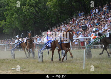 Pferderennbahn in Sault, Provence-Alpes-Côte d'Azur - Frankreich. 11. August 2019. Das einzige Pferd Rennen im Jahr Stockfoto