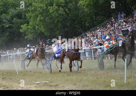 Pferderennbahn in Sault, Provence-Alpes-Côte d'Azur - Frankreich. 11. August 2019. Das einzige Pferd Rennen im Jahr Stockfoto