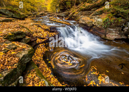 Wasserfall und Herbstfarbe, Ricketts Glen State Park, Pennsylvania Stockfoto