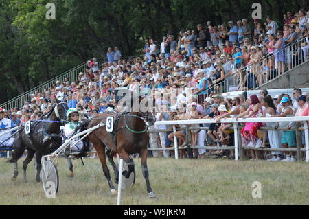 Pferderennbahn in Sault, Provence-Alpes-Côte d'Azur - Frankreich. 11. August 2019. Das einzige Pferd Rennen im Jahr Stockfoto