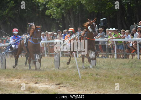 Pferderennbahn in Sault, Provence-Alpes-Côte d'Azur - Frankreich. 11. August 2019. Das einzige Pferd Rennen im Jahr Stockfoto