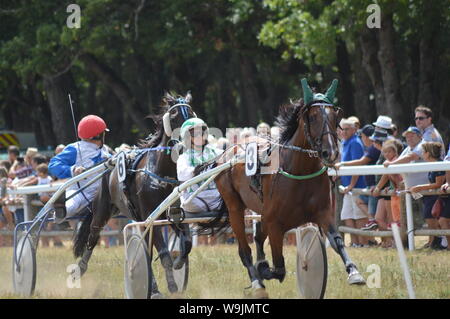 Pferderennbahn in Sault, Provence-Alpes-Côte d'Azur - Frankreich. 11. August 2019. Das einzige Pferd Rennen im Jahr Stockfoto