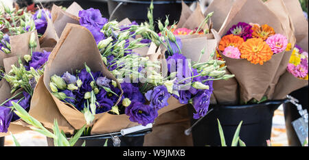 Eimer lila licanthus Blumen und rosa und orange Zinnien in voller Blüte und Knospen in braunem Papier Blumensträuße an den Farmers Market gewickelt Stockfoto