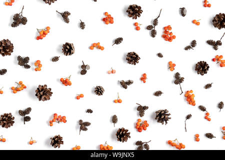 Herbst kreative Komposition. Muster aus berry Rowan, Kegel auf weißem Hintergrund. Herbst, Herbst, Thanksgiving Day Konzept. Flach, Ansicht von oben, kopieren Stockfoto
