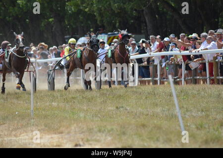 Pferderennbahn in Sault, Provence-Alpes-Côte d'Azur - Frankreich. 11. August 2019. Das einzige Pferd Rennen im Jahr Stockfoto