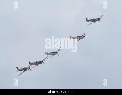 Drei Spitfires eine North American P-51D Mustang und ein Hispano HA-112 MIL Buchon (Messerschmitt Bf 109), die sich in der Ausbildung Stockfoto