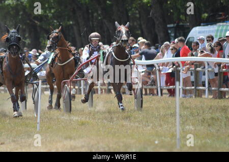 Pferderennbahn in Sault, Provence-Alpes-Côte d'Azur - Frankreich. 11. August 2019. Das einzige Pferd Rennen im Jahr Stockfoto