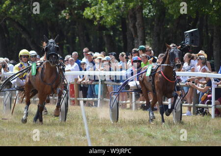 Pferderennbahn in Sault, Provence-Alpes-Côte d'Azur - Frankreich. 11. August 2019. Das einzige Pferd Rennen im Jahr Stockfoto