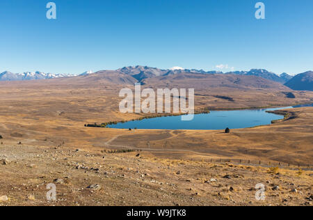 Eine beeindruckende Aussicht auf den spektakulären goldenen Mackenzie Basin aus der Spitze des Mt John einschließlich Lake Tekapo gegen einen strahlend blauen Himmel Stockfoto