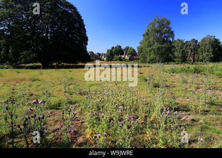 Blick über sandige Heide, Sandy, Bedfordshire, England Stockfoto