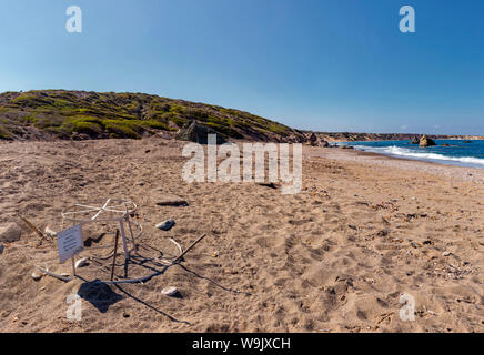 Turtle Nest Schutz am Lara Strand, Halbinsel Akamas National Park, Zypern, Zypern, 30070201 Stockfoto