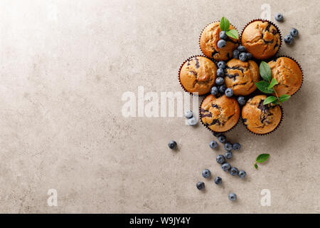 Blueberry Muffins mit frischen Beeren, Ansicht von oben Stockfoto