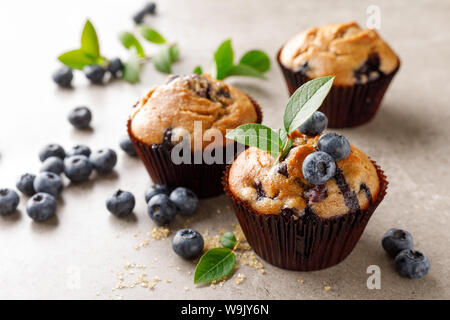 Blueberry Muffins mit frischen Beeren Stockfoto