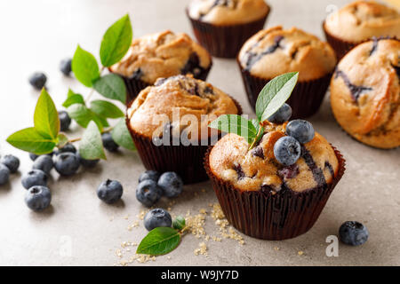 Blueberry Muffins mit frischen Beeren Stockfoto