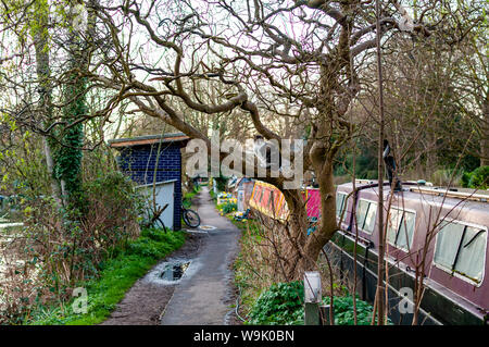 Eine Abgabe an einem der schönsten Kanäle von Oxford mit farbenfrohen Hausboote/narrowboats angedockt und eine Katze sitzt im Baum beobachten. Stockfoto