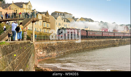 Die Dampfeisenbahn des Königlichen Herzogtums, die durch Dawlish fährt, wird von der LMS Pacific No 6233 'Herzogin von Sutherland' auf dem Weg nach Par in Cornwall gezogen. 04.08.2019. Stockfoto