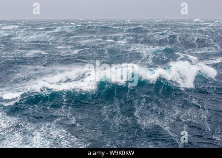 Gale Force Westwinde bauen große Wellen in den Polarregionen der Drake-Passage, Antarktis, Stockfoto