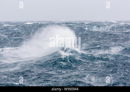 Gale Force Westwinde bauen große Wellen in den Polarregionen der Drake-Passage, Antarktis, Stockfoto