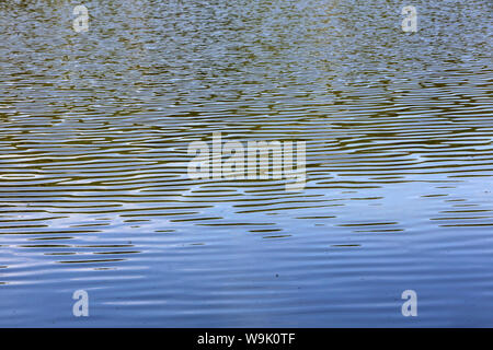 Plan d'eau. Etang. Ville d'Avray. /Körper von Wasser. Teich. Ville d'Avray. Stockfoto