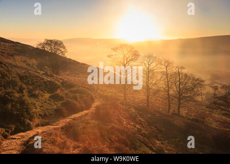 Misty und frostigen Sonnenaufgang über der Skelettmuskulatur Bäume über die Hoffnung Tal im Winter, Castleton, Peak District, Derbyshire, England, Vereinigtes Königreich, Europa Stockfoto