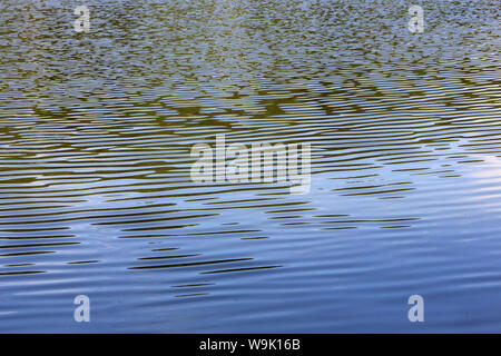 Plan d'eau. Etang. Ville d'Avray. /Körper von Wasser. Teich. Ville d'Avray. Stockfoto