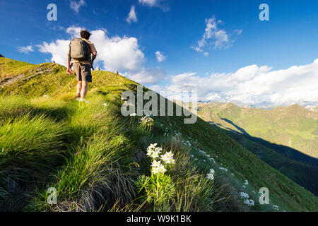 Auf steilen Grat auf der Aufstieg zum Monte Azzarini, San Marco Pass, Albaredo Tal, Bergamasker Alpen, Lombardei, Italien, Europa Wanderer Stockfoto