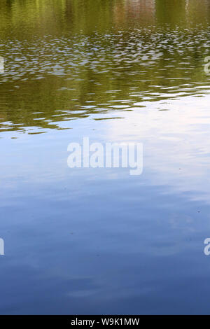 Plan d'eau. Etang. Ville d'Avray. /Körper von Wasser. Teich. Ville d'Avray. Stockfoto