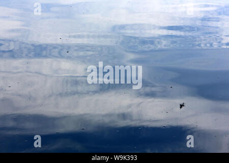 Plan d'eau. Etang. Ville d'Avray. /Körper von Wasser. Teich. Ville d'Avray. Stockfoto