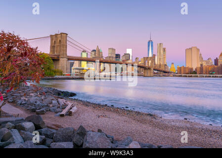 Brooklyn Bridge über den East River, Lower Manhattan Skyline, einschließlich der Freiheit, Turm des World Trade Center, New York, Vereinigte Staaten von Amerika Stockfoto