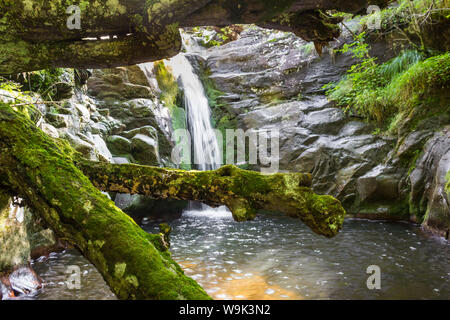 Vordergrund Zweige von Moos und schöne Basis für lange Belichtungszeiten Berg Wasserfall die Streaming den felsigen Klippen abgedeckt Stockfoto