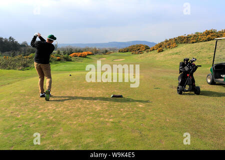 Golfspieler auf der Druids Heath Golfplatz Druids Glen Golf Resort, County Wicklow, Republik von Irland Stockfoto