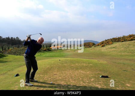 Golfspieler auf der Druids Heath Golfplatz Druids Glen Golf Resort, County Wicklow, Republik von Irland Stockfoto