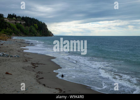 Ein Strand an der Westküste von Washington, USA auf einer düsteren Regentag Stockfoto