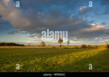 Ein Streifen von Sonnenlicht auf einer grünen Wiese, Wolken und Himmel bei Sonnenuntergang. Nowiny, Polen Stockfoto
