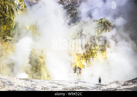 Touristische Ausflüge in White Island Volcano, einem aktiven Vulkan in der Bay of Plenty, North Island, Neuseeland, Pazifische Stockfoto